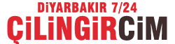 Diyarbakır Çilingir 0534 361 99 81